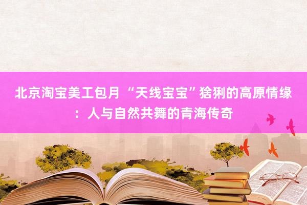 北京淘宝美工包月 “天线宝宝”猞猁的高原情缘：人与自然共舞的青海传奇