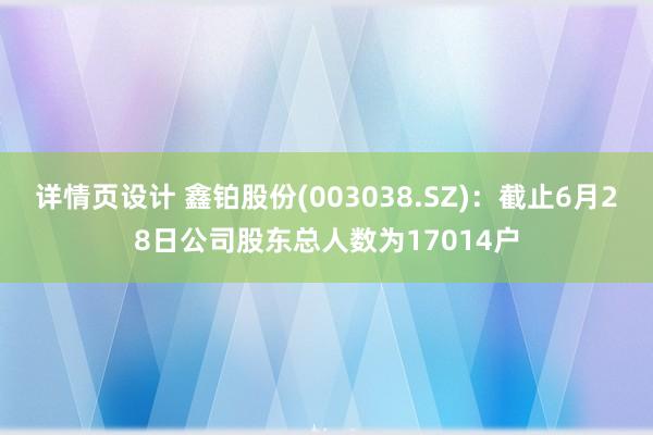 详情页设计 鑫铂股份(003038.SZ)：截止6月28日公司股东总人数为17014户