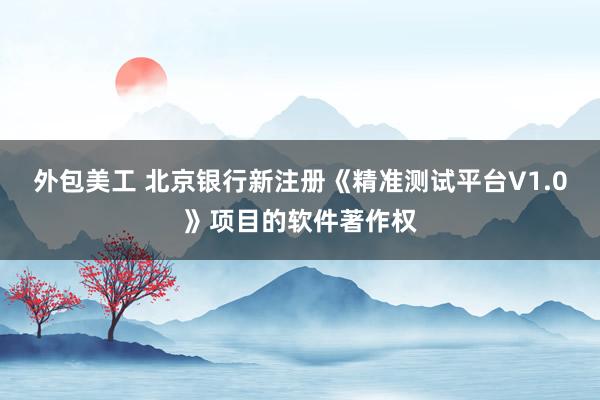 外包美工 北京银行新注册《精准测试平台V1.0》项目的软件著作权