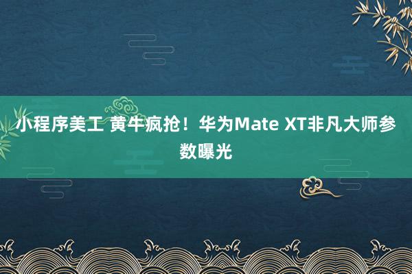 小程序美工 黄牛疯抢！华为Mate XT非凡大师参数曝光