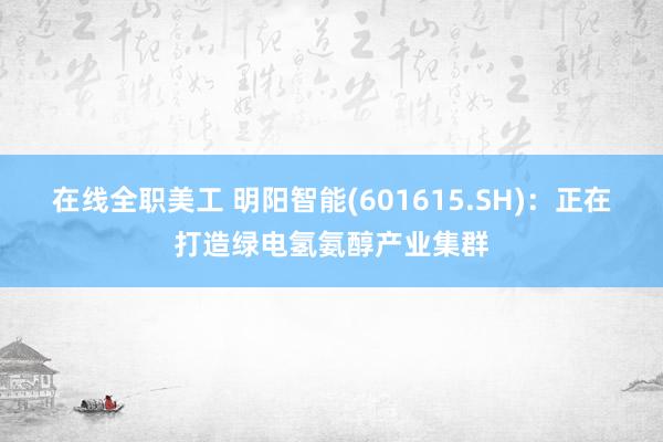 在线全职美工 明阳智能(601615.SH)：正在打造绿电氢氨醇产业集群